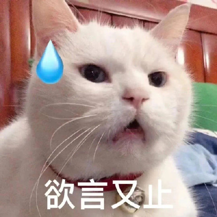 猫欲言又止微信表情